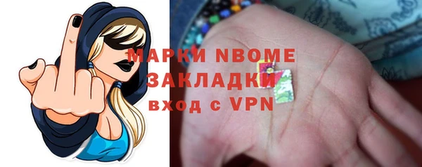 индика Михайловск