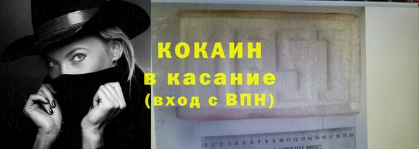 индика Михайловск