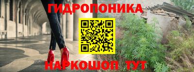 spice Камышлов