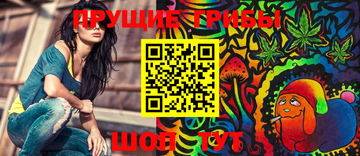 где найти наркотики  Вход с VPN  Псилоцибиновые грибы Cubensis  Нижний Тагил  Псилоцибиновые грибы Psilocybine cubensis 